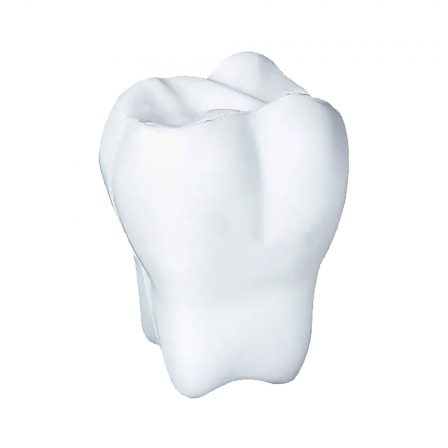 Dentist Merch