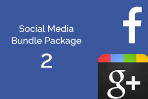 Package 2: Facebook & Google Plus Strategy and Management.