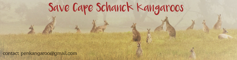 Cape Schanck Kangaroo Bumper Sticker